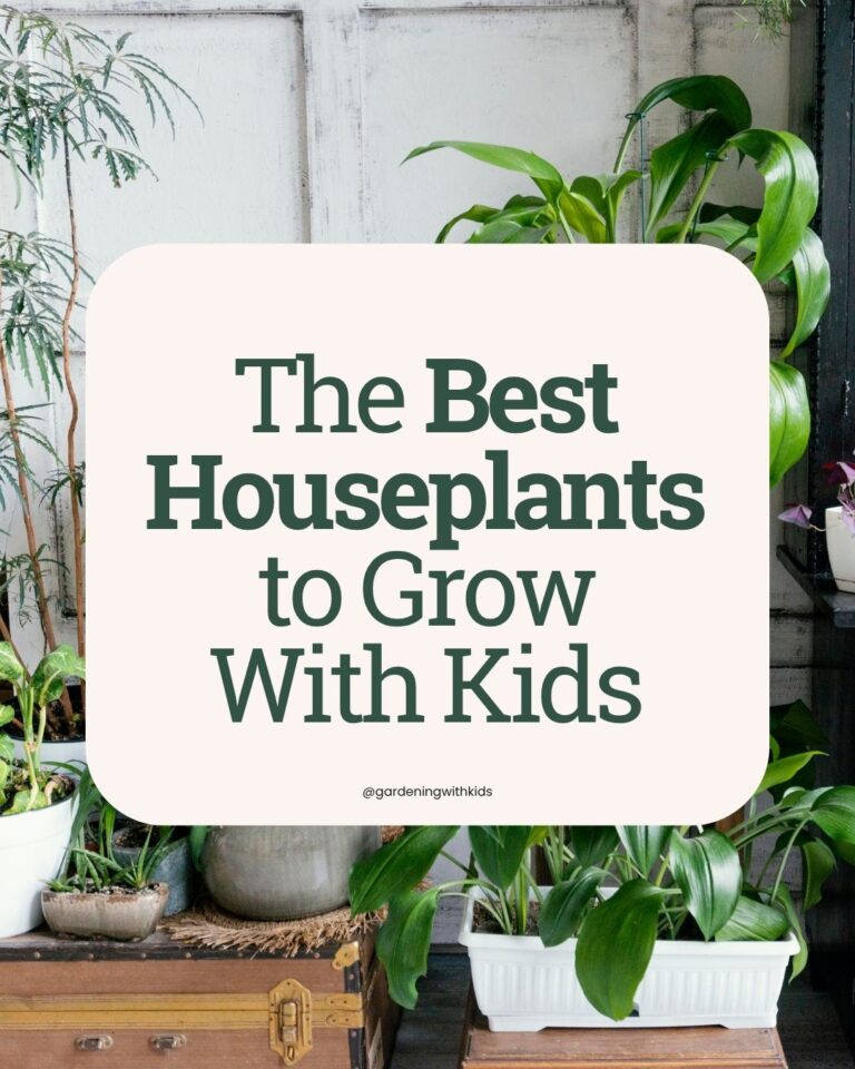 The 6 Best Houseplants to Grow With Kids